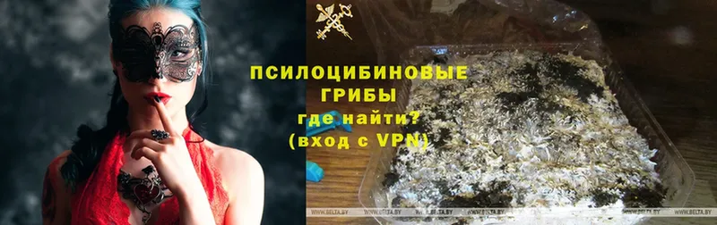 Псилоцибиновые грибы Magic Shrooms  Бирюсинск 